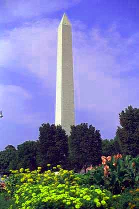 The Washington Monument