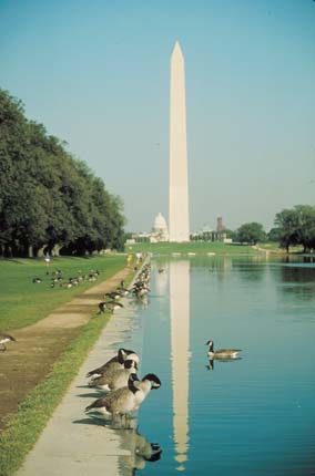 Washington Monument in Reflecting Pool